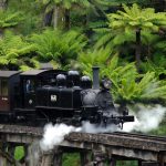 History of Steam Trains